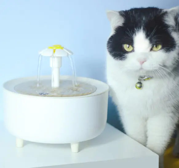 Automatic Pet Water Fountain