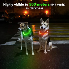 LED Rechargeable Dog Collar