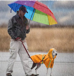 Waterproof Dog Raincoat